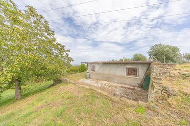 RUSTICO A MONTE PORZIO CATONE
