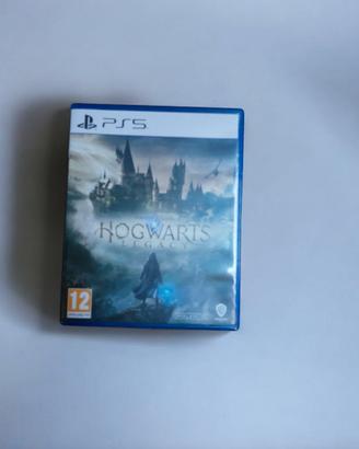 Hogwarts Legacy per PlayStation 5