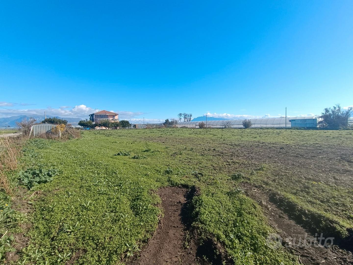 Terreno Agricolo - Vista 4