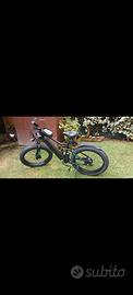 bici elettrica 