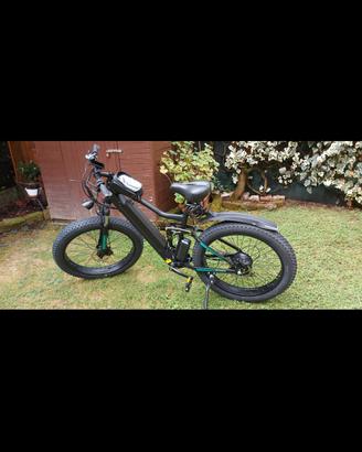 bici elettrica