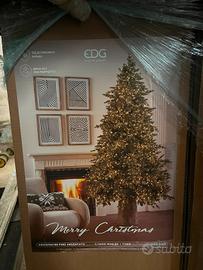 albero