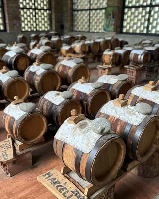 Batterie aceto balsamico avviate nel  2012
