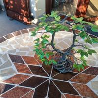 Albero Bonsai 
