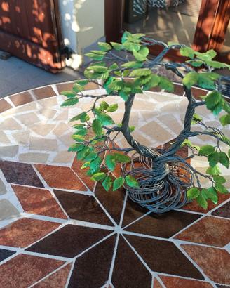 Albero Bonsai 