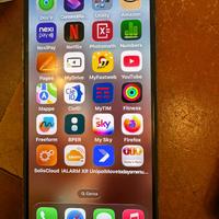 IPHONE 11 PRO MAX 256 GB