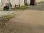 Immagine 6