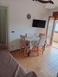 Appartamento scalea sul mare x5 posti