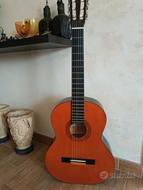Chitarra Eko + Borsa
