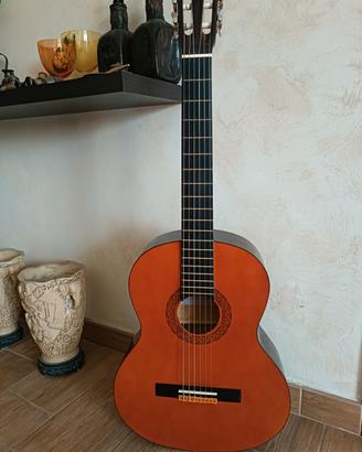 Chitarra Eko + Borsa