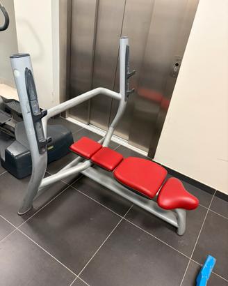 Panca Piana Technogym