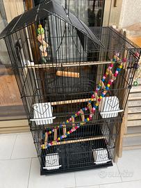 Gabbia Voliera con giochetti