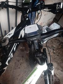 bicicletta elettrica 