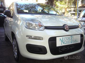 FIAT Panda 1.0 FireFly S&S Hybrid Icon 5°posto P