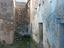 Immagine 11