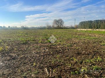 TER. AGRICOLO A CARAVAGGIO