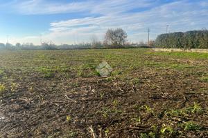 TER. AGRICOLO A CARAVAGGIO