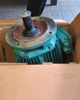 Motore industriale 