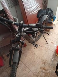Bicicletta elettrica