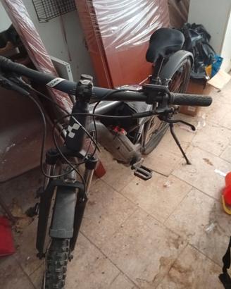 Bicicletta elettrica