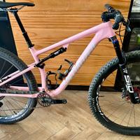 Specialized Epic Pro LTD 2024 Tg M