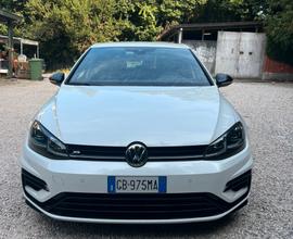 Golf R 7.5 2019 4 Motion Fender