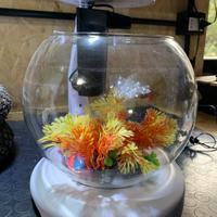 Acquario con Fontana e luce led