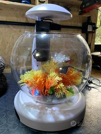 Acquario con Fontana e luce led
