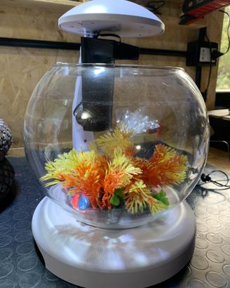 Acquario con Fontana e luce led