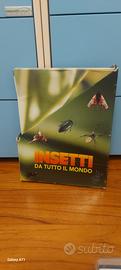 collezione insetti dal mondo
