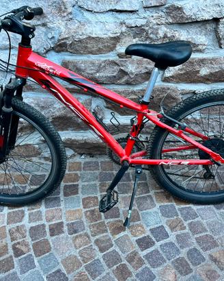 Bici mountain bike