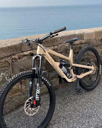 Canyon Spectral 29 AL 5