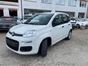 fiat-panda-1-2-easy