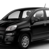 FIAT Panda 1.0 Hybrid Pop 70CV PRONTA CONSEGNA