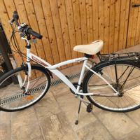 biciclette 