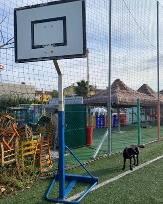 Struttura da basket professionale
