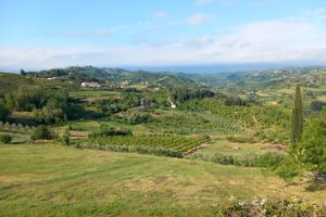Terreno agricolo Montiano