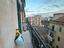 Immagine 15