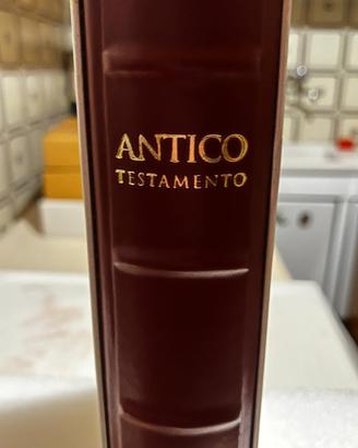bibbia edizione limitata San Giorgio è San Marco 