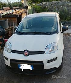 fiat panda 1.0 Hybrid 