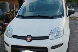 fiat panda 1.0 Hybrid 