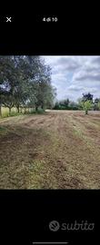 Terreno con Fabbricato