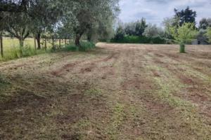 Terreno con Fabbricato