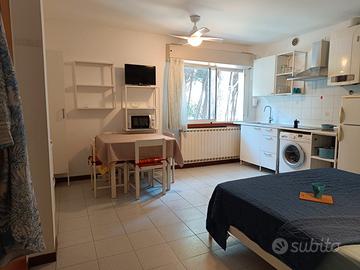 Pinarella fronte pineta graziosomonolocale