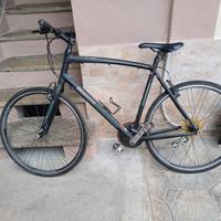 Bici bianchi c-sport 1 camaleonte