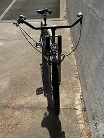 Bici da passeggio