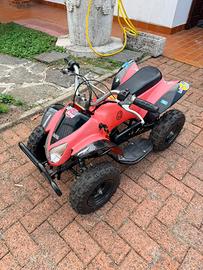 Mini quad 50
