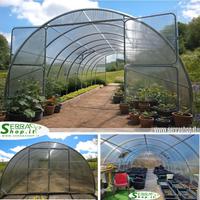 Serra tunnel 4x8m policarbonato alveolare box orto