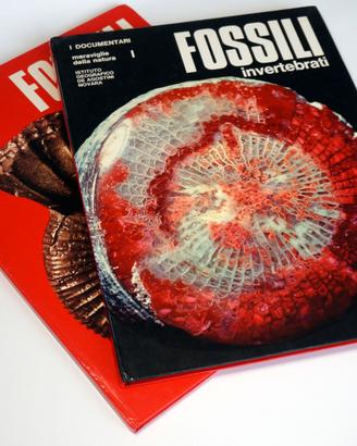 FOSSILI INVERTEBRATI (De Agostini 1972) - 2 Volumi