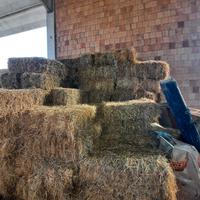 ballette di fieno 3 euro l'una 